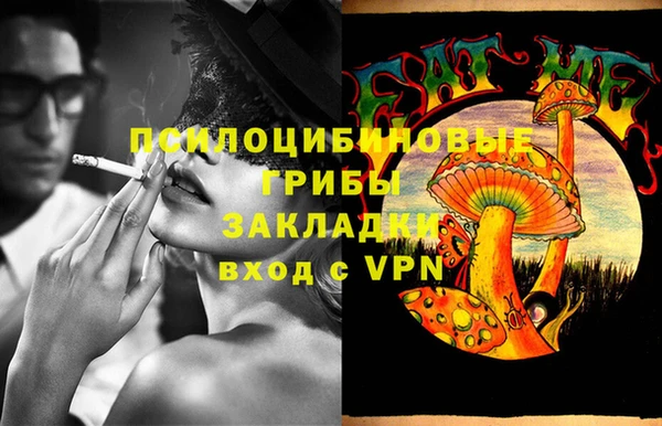 прущие грибы Сафоново