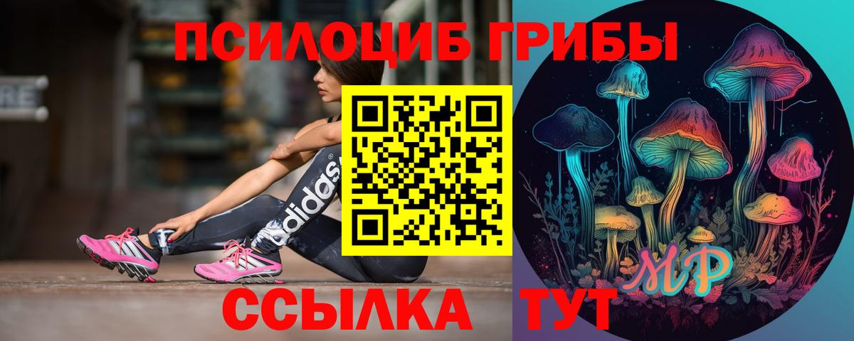 Галлюциногенные грибы Psilocybe Сердобск