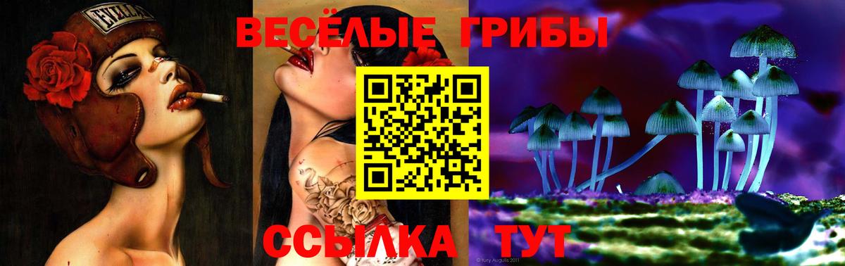 Псилоцибиновые грибы мицелий  закладки  Вход с VPN  Сердобск  Галлюциногенные грибы мухоморы 